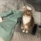 Evcil Hayvanınıza Özel