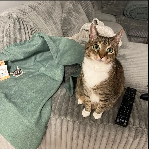 Evcil Hayvanınıza Özel