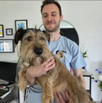 Evcil Hayvanınıza Özel